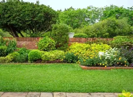 landscaping services Mount Olive